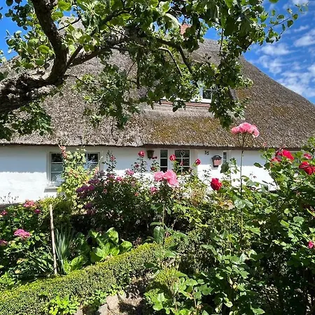 Reetdachtraum 密德海根